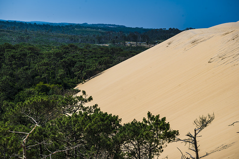 View of the Dune du Pilat