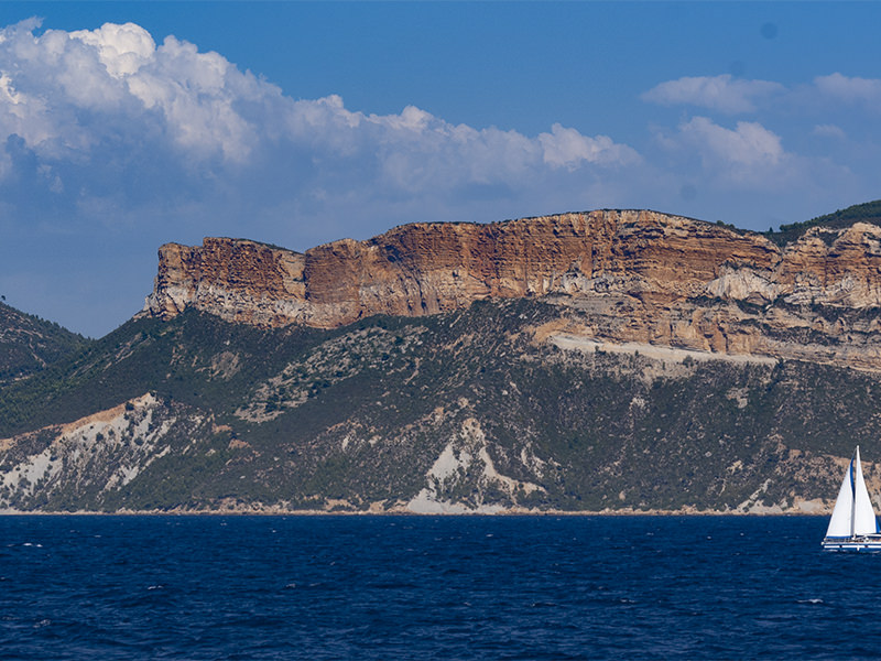Cassis impression