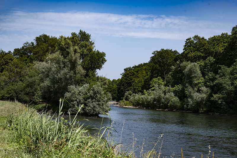 Nature in the Béarn