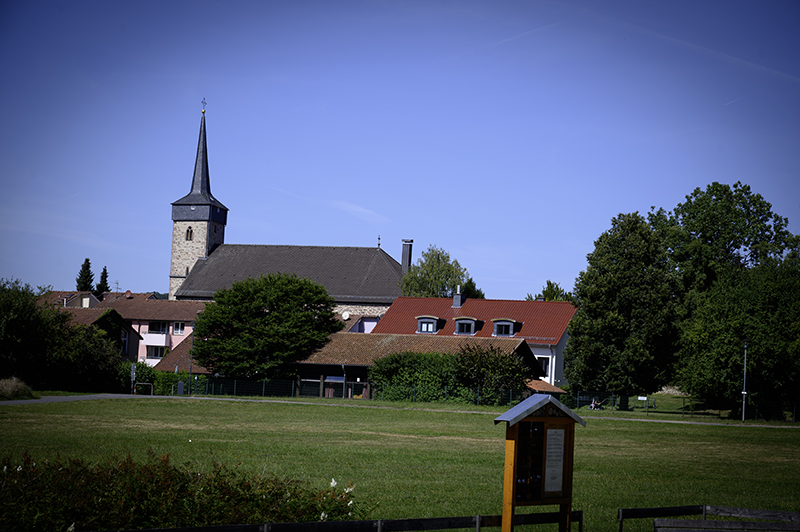 Meadow, church, trees