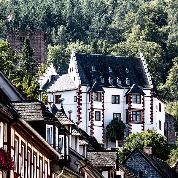 Castle Museum