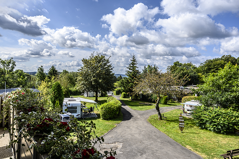 Wiese, Camper, Stellplätze | © Bert Schwarz 2024