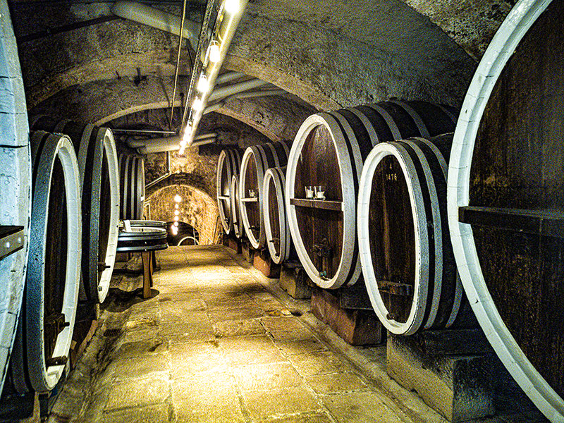Barrels on the way to the cellar | © Bert Schwarz 2026