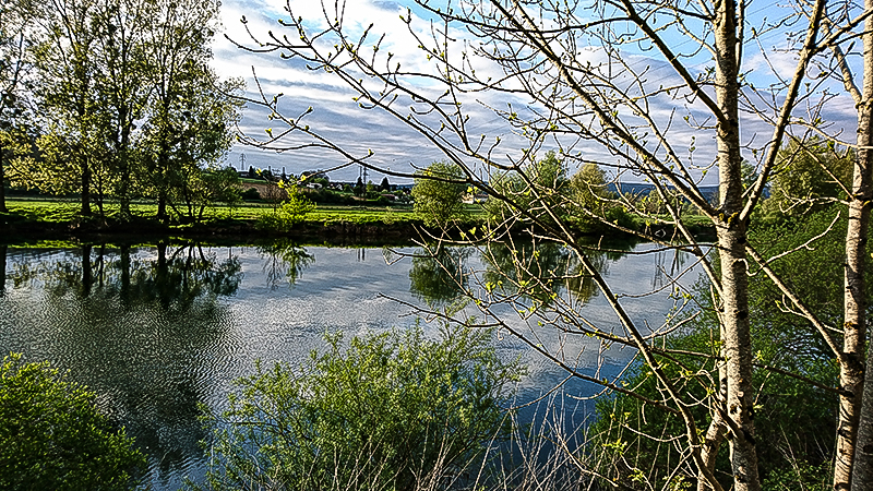 Bäume, Fluss, Wiesen | © Bert Schwarz 2015