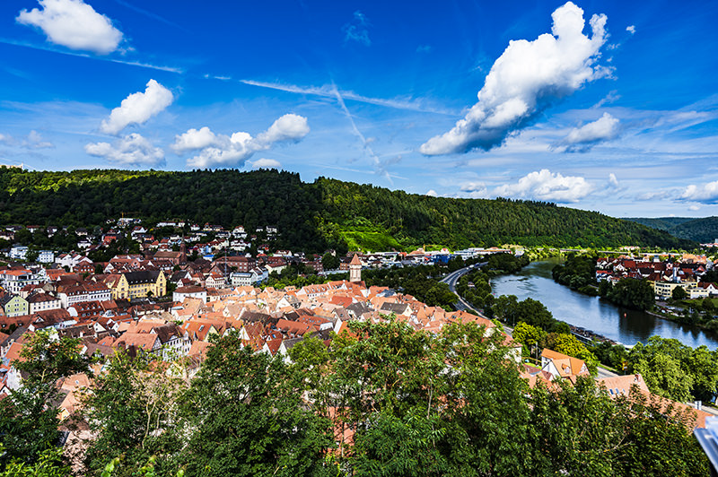 Burgruine, Bäume | © Bert Schwarz 2025