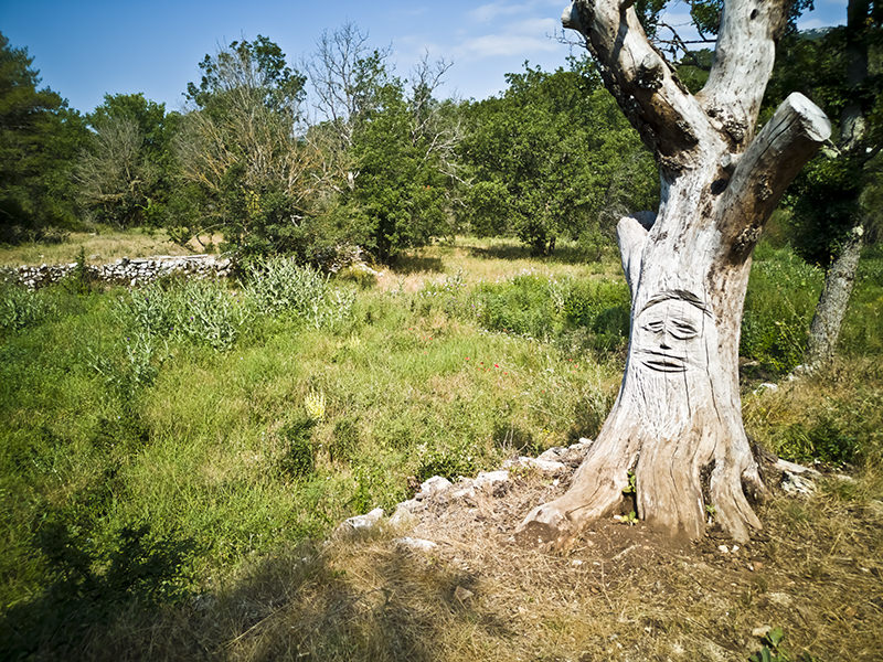 Landscape Baume Obscure | © Bert Schwarz 2020
