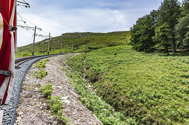 Mountain, meadow, forest, tracks, La Rhune | © Bert Schwarz 2023