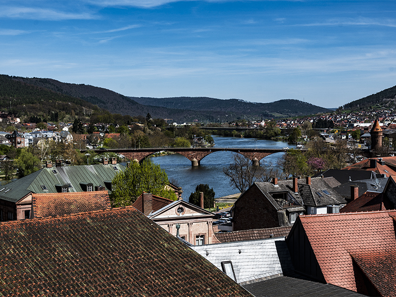 View over Miltenberg to the Spessart | © Bert Schwarz 2025
