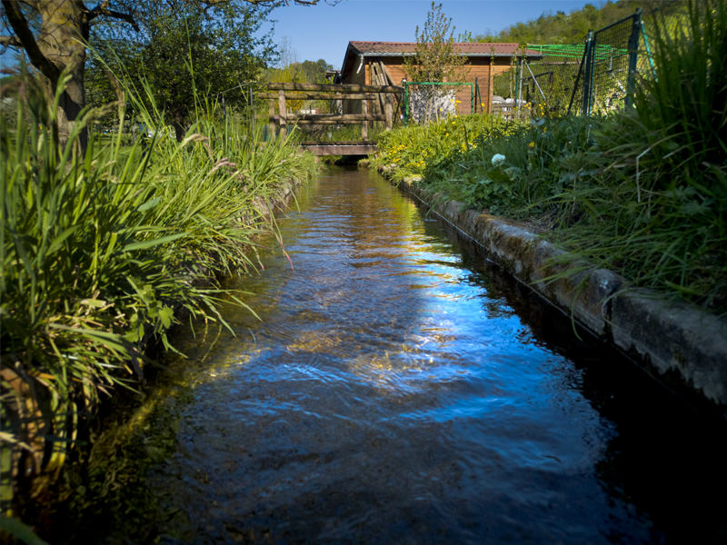 Homburg Paper Mill | © Bert Schwarz 2021