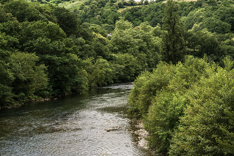 Berge, Wald, die Nive, La Rhune | © Bert Schwarz 2023