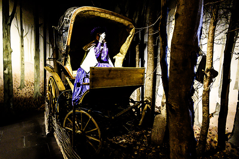 In a carriage over Spessart roads | © Bert Schwarz 2024