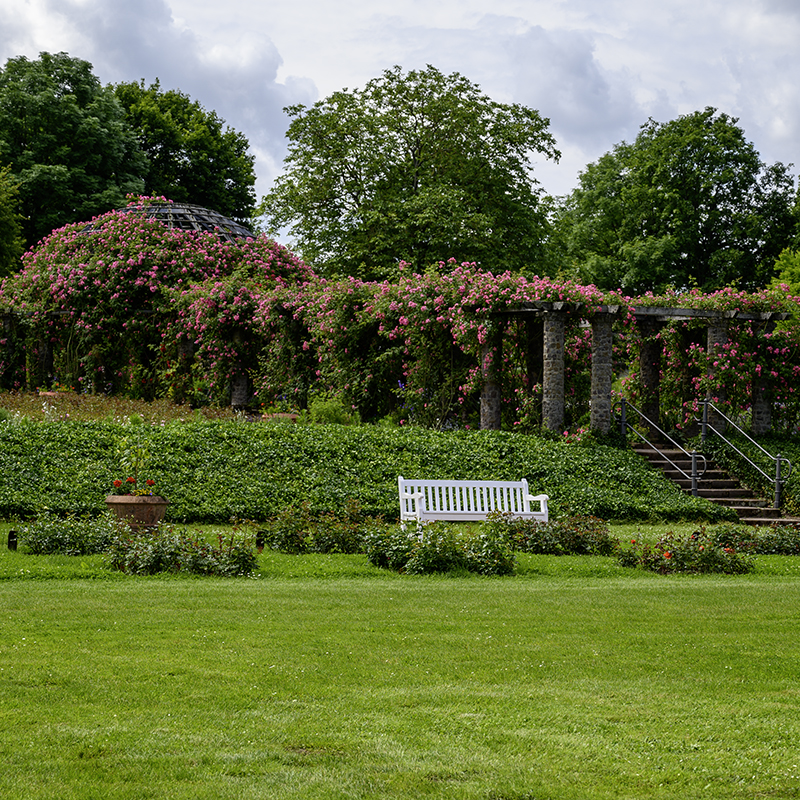 Garten, Bank, Rosengarten | © Bert Schwarz 2024
