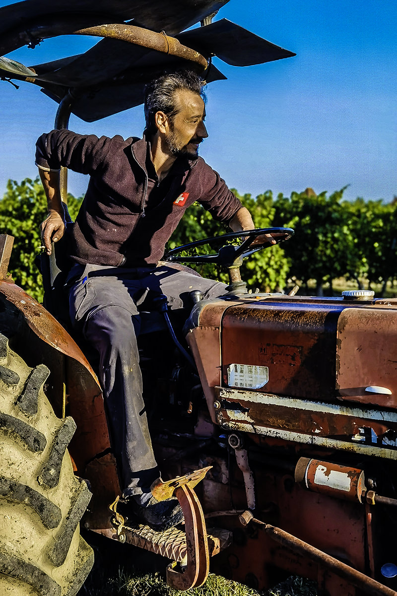 Pierre Sadoux