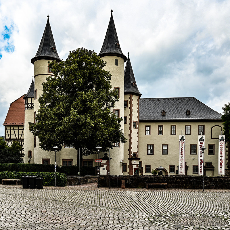 Bäume, Schloss, Lohr | © Bert Schwarz 2024