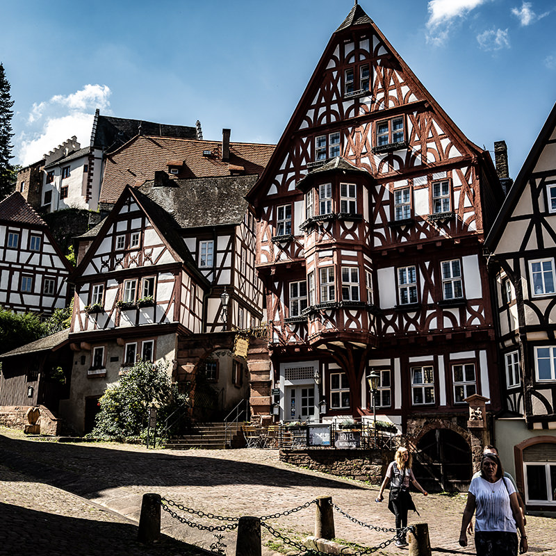 Wasserschloss, Wald, Hügel | © Bert Schwarz 2024
