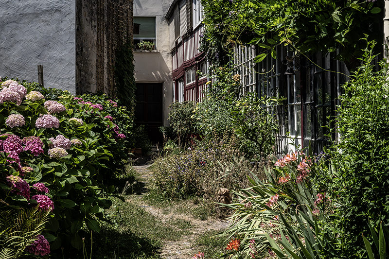 Garden in a Navarrenx courtyard | © Bert Schwarz 2026