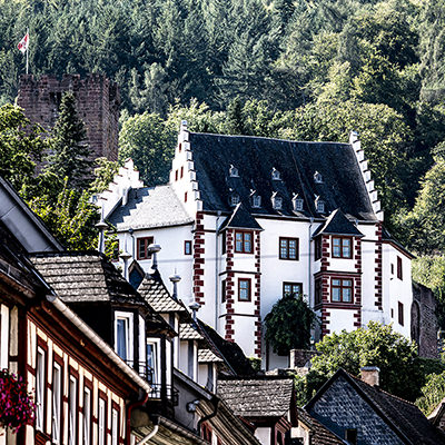 The castle against rocks and forest, Miltenberg | © Bert Schwarz 2025
