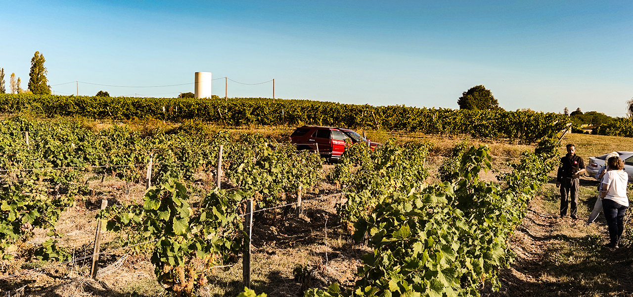 Grape harvest at Chateau Court Le Muts in the Dordogne Valley | © Bert Schwarz 2020