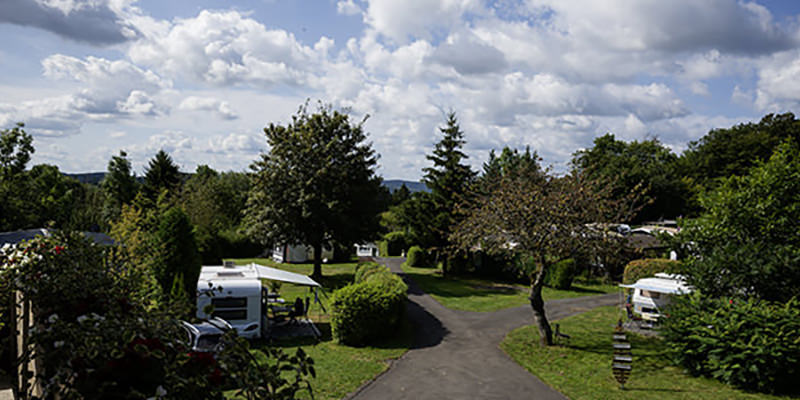 The campsite is hidden in the greenery