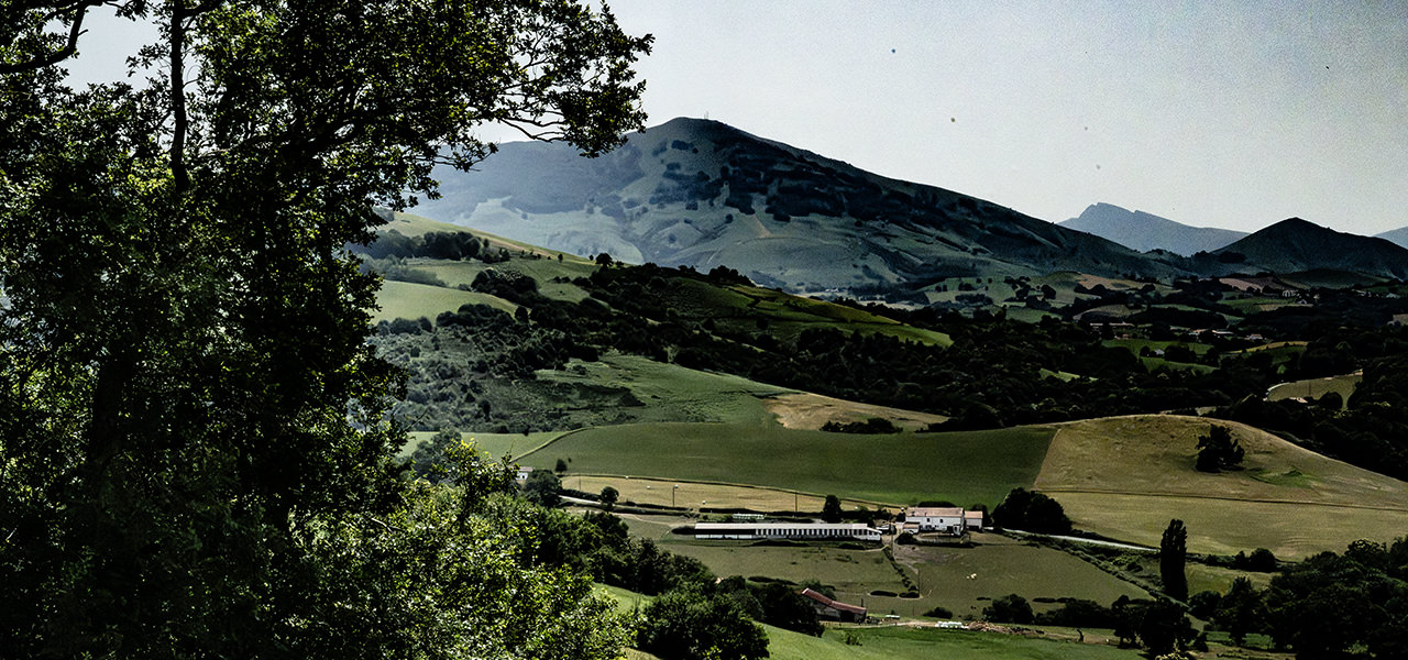 The Pyrenees behind fields, meadows, and trees | © Bert Schwarz 2026
