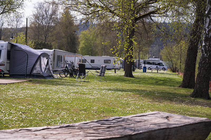 Main riverbank Wertheim
