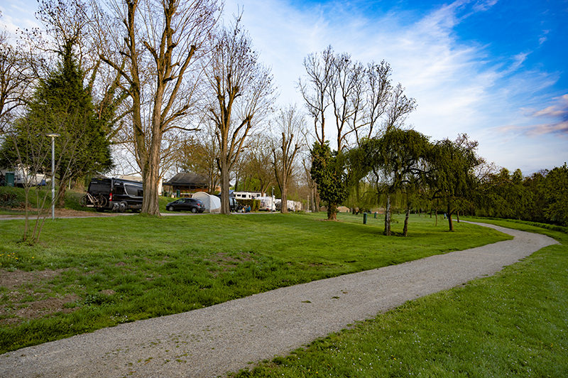 Campsite on the Ill