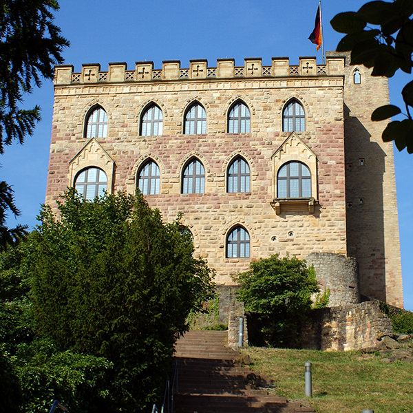 Schloss, Anhöhe, Büsche | © pixabay.com