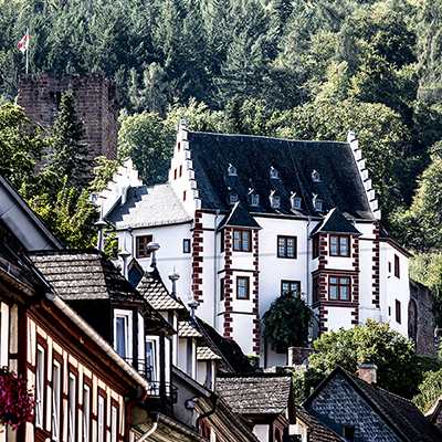 Burg, Wald, Miltenberg | © Bert Schwarz 2024