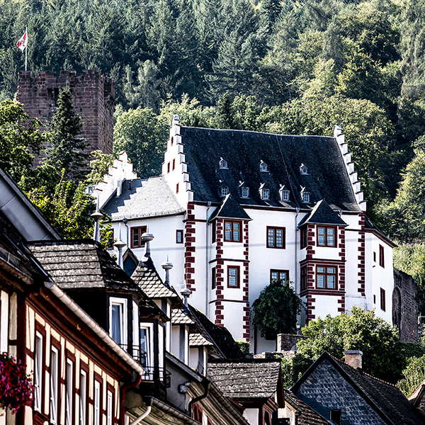 Burg, Wald, Miltenberg | © Bert Schwarz 2024