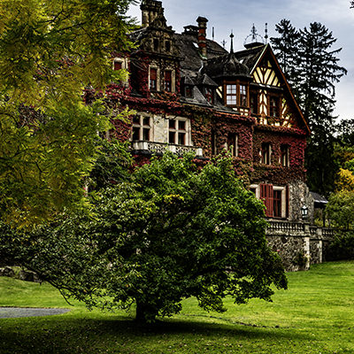 Rasen, Baum, Bäume, Haus | © Bert Schwarz 2024
