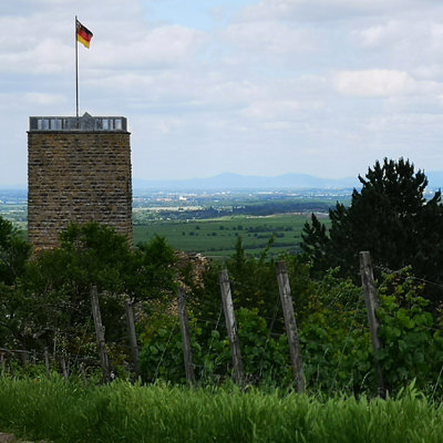 Burgruine, Weinberge, Rheintiefebene | © Bert Schwarz 2019