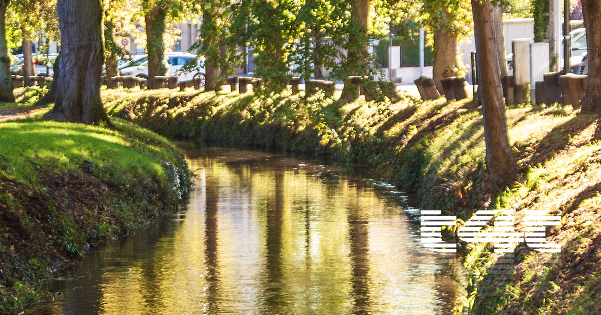 Video Wissembourg